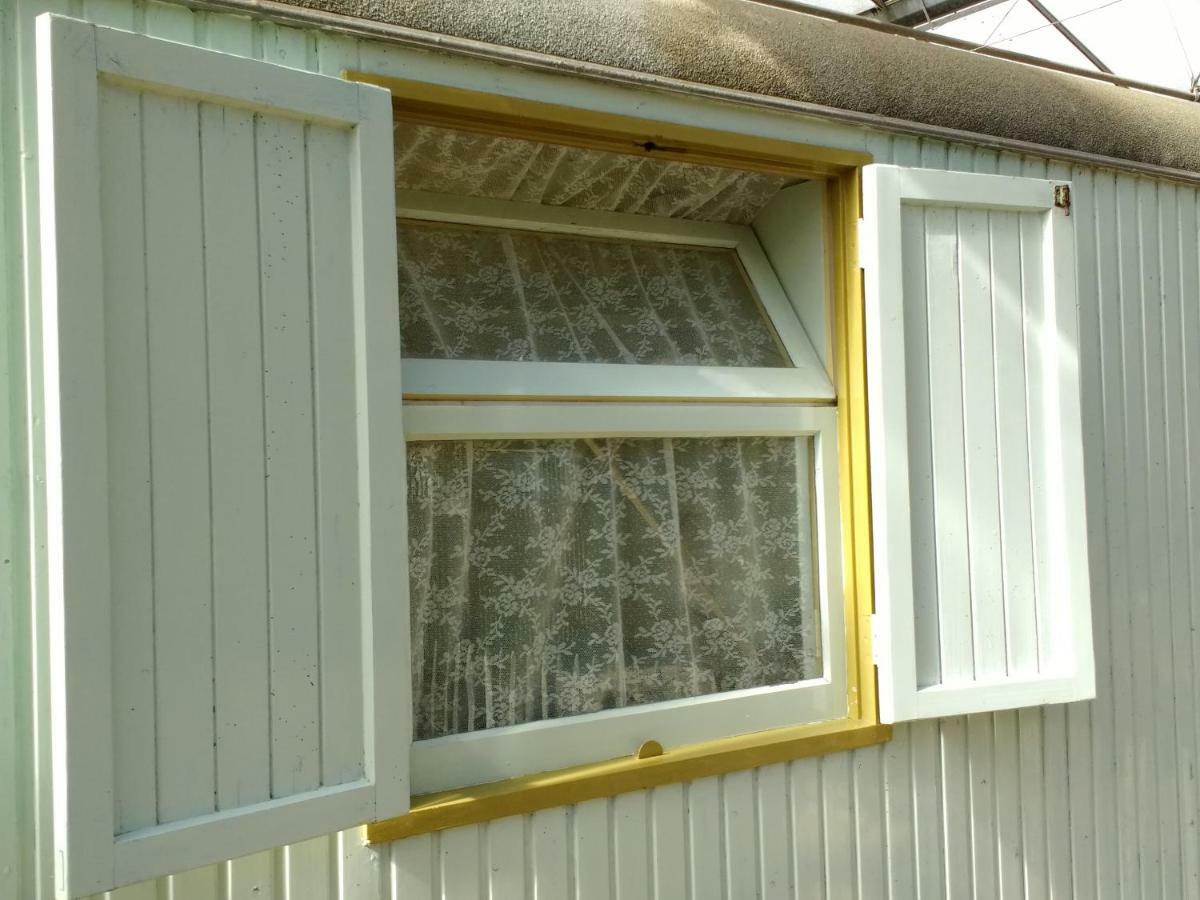 Pipowagen Overnachting Het Houten Huis Zaltbommel Exterior foto